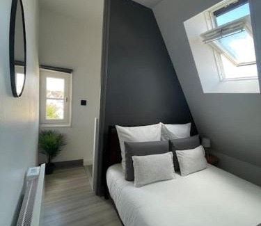 Chartres Apartment | Duplex bord de l'Eure - Parking inclus - Jolie vue sur la cathédrale