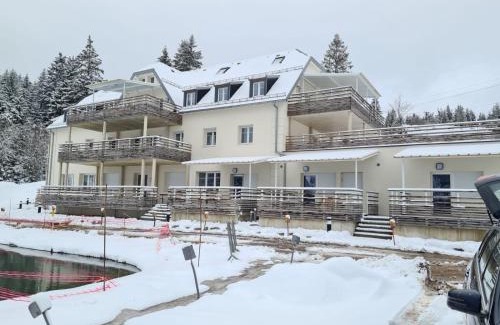 Orbey Apartment | Duplex F2 au pied des pistes du lac blanc