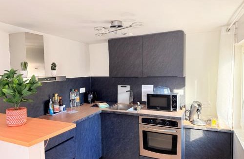 Haguenau Apartment | Duplex Fleckenstein - Centre Historique de Haguenau