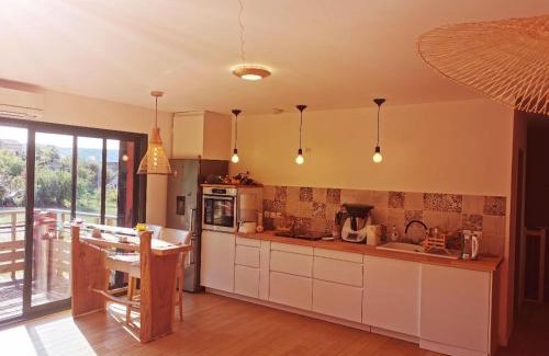 Salasc House | Duplex Orange Oasis