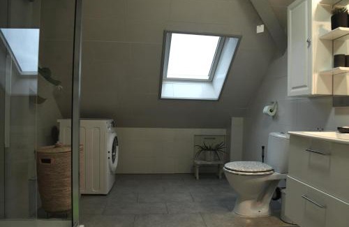 Mulhouse Apartment | DUPLEX SPACIEUX TOUT CONFORT
