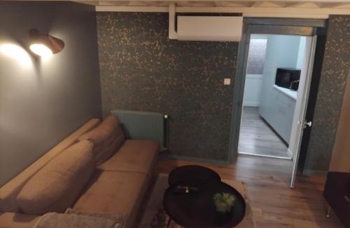 Vienne Apartment | Duplex Viennois