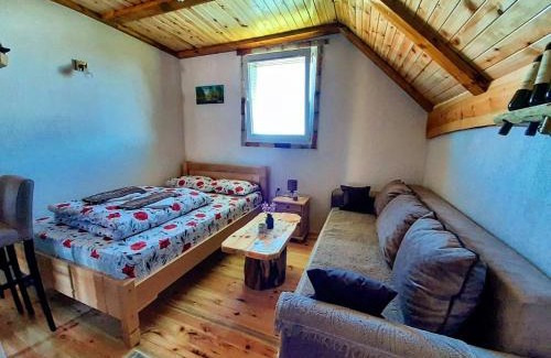Zabljak Villa | Durmitorski konaci apartments