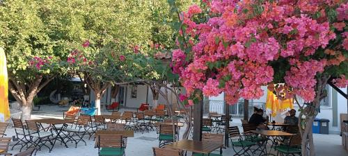 Selimiye Hotel | Dut Selimiye