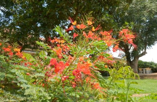 Fort Portal Hotel | Dutchess Hotel and Restaurant