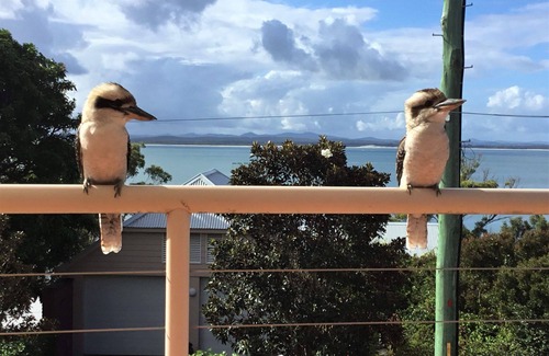Nelson Bay House | Dutchie's Sand & Sea Beach House - easy walk to the beach