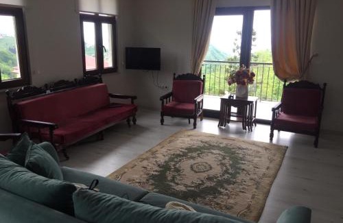 Arsin Apartment | DUVARBAHÇE APART