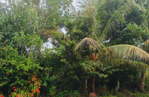 Mysore House | Dwaraka Nature Home Stay