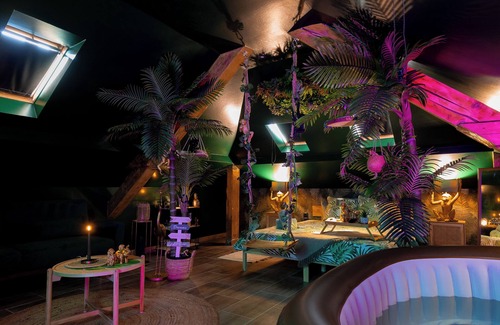 Lingolsheim Apartment | Dynasty Jungle Home Spa Jacuzzi