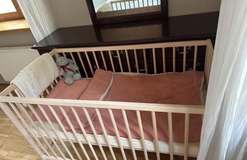 Centrs Apartment | Dzirnavu apartment, free parking