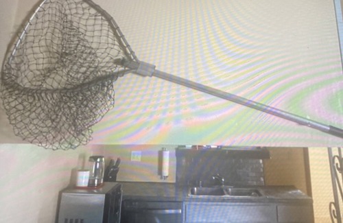 Eagle River Apartment | Eagle River apartment in house. Pets allowed. No breed restrictions