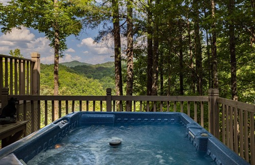 Bryson City Cabin | Eagles Nest above Fontana Lake