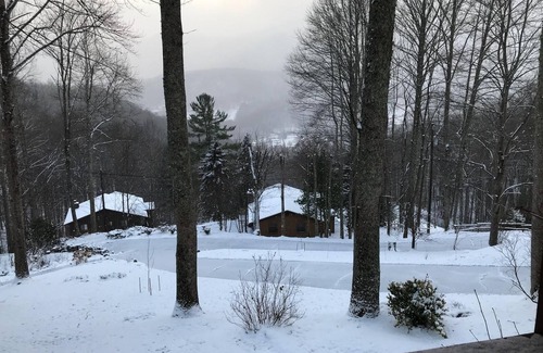 Maggie Valley Cabin | Eagles Nest Cottage- Pet Friendly with amazing views