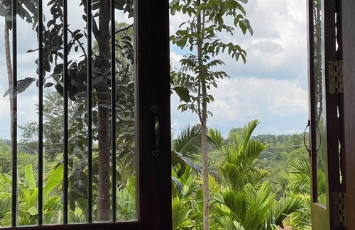 Magadi House | Earth House in Magadi-Farm house, Mango, Neem, Areca trees