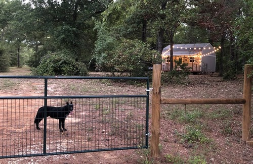 Palestine Cabin | East TX Cozy Cabin w/gated access