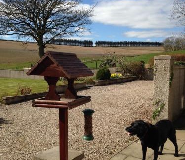 Turriff House | Eastwood Cottage