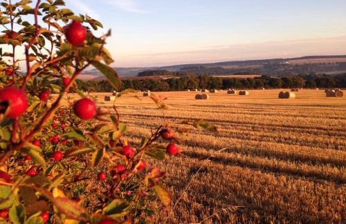 Turriff House | Eastwood Cottage