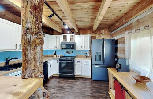 Dandridge Cabin | Easy Breezie | Lake Front, Tiki Bar, Hot Tub + Firepit