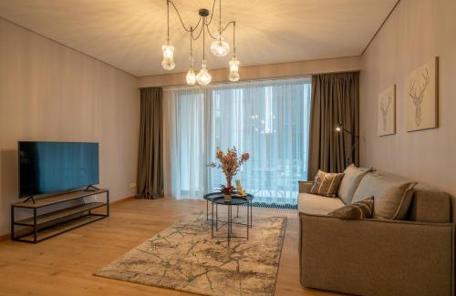 Centrs Apartment | Easyrooms Dzirnavu