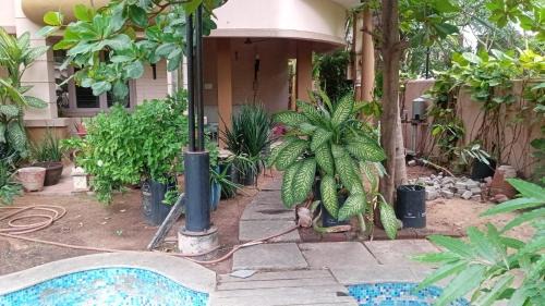 Palavakkam House | Eaze & Comfort - Boutique Hotel