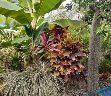 Guachaca House | Eco-Cafe El Mirador