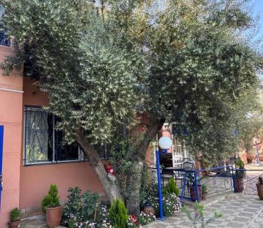 Ait Sidi Daoud Hotel | Eco Farm Tayssir Marrakech