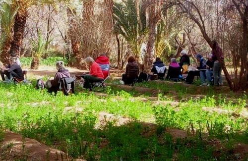 Skoura Other | Eco-Ferme Tamalait Skoura