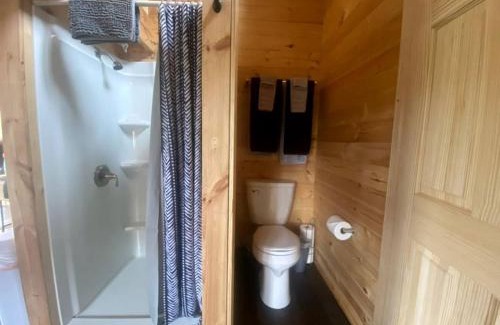 Denali House | Eco-Friendly Lakefront Tiny House with Views of Panorama Mountain near Denali National Park