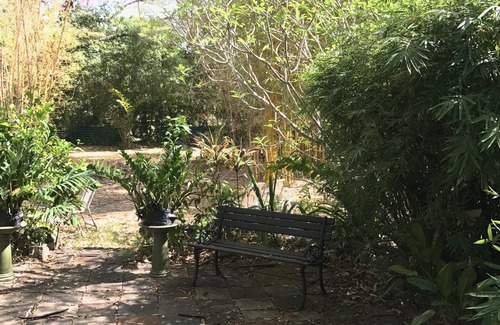 Bridgetown Apartment | ECO FRIENDLY QUAINT PALMETTO Studio