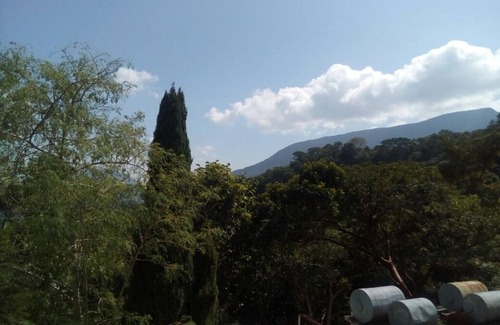 Pluma Hidalgo Hotel | Eco Hotel El Refugio, In the mountains but close to the sea. - ROOM 17