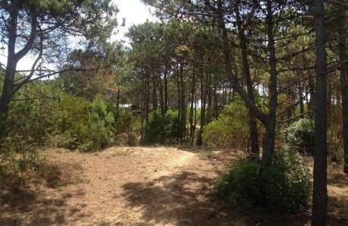 Punta del Diablo Bed & Breakfast | Eco House Via Verde