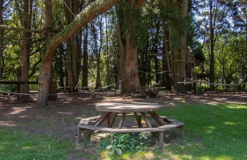 Burgess Park Cabin | Eco Lodge Near New Plymouth's Outdoors