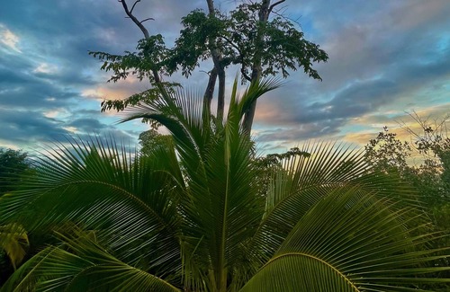 Tierra Oscura House | Eco Lodge La Casa de los Loros