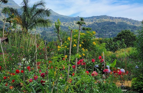 Los Naranjos Bed & Breakfast | Eco resort: Panama's largest butterfly exhibit, native bee and honey farm