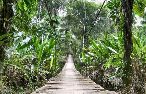 Las Piedras Cabin | Ecoamazonia Lodge