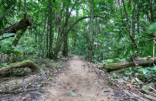 Las Piedras Cabin | Ecoamazonia Lodge