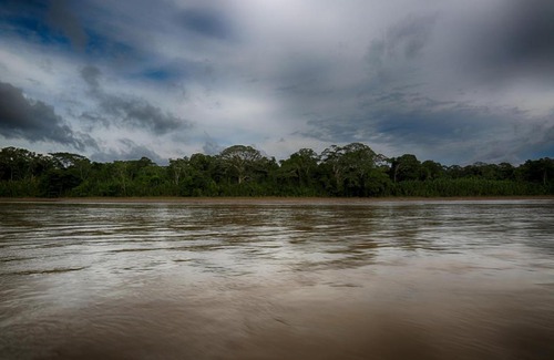 Las Piedras Cabin | Ecoamazonia Lodge