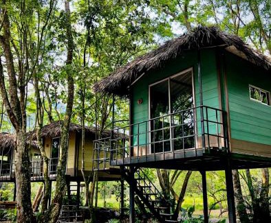 Utica Other | ECOCAMPING JACAMAR