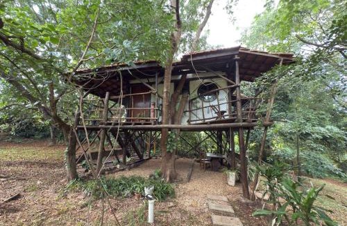 Sao Pedro Cabin | Ecocentro Brasil - Bangalô Flamboyant