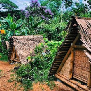 Coron Hostel | Ecocio Jungle Hostel
