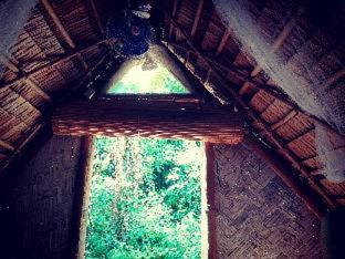 Coron Hostel | Ecocio Jungle Hostel