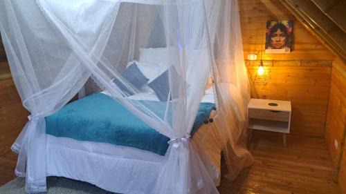 Menegua Other | Ecohotel el Obelisco