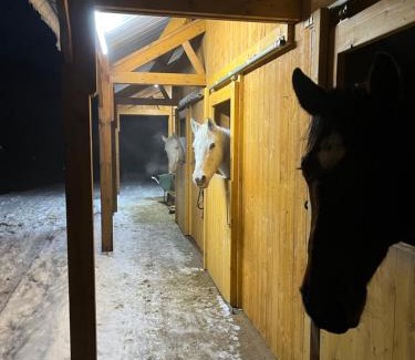 The Ardennes Bed & Breakfast | Ecole Buissonnière