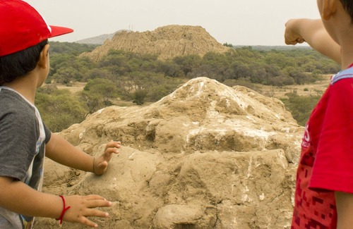 Illimo Cabin | Ecolodge Huaca de Piedra