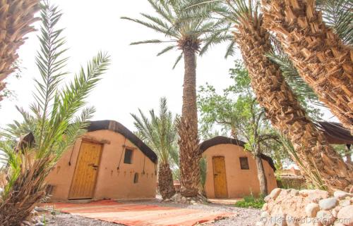 Tarmigt House | Ecolodge La Palmeraie