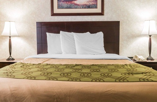 Grand Rapids Hotel | Econo Lodge & Suites Grand Rapids Airport