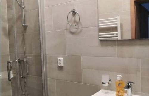 Petrska ctvrt Apartment | Economic group apartment with single beds
