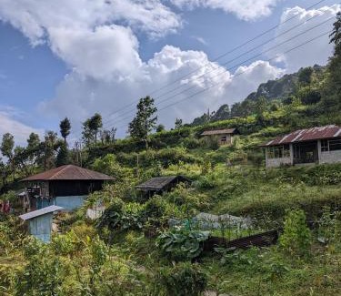 Kumai House | Ecoventure Todey Tangta