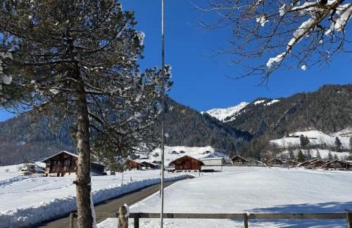 Frutigen Apartment | Edelweiss 4 Zi Ferienwohnung in Landhaus