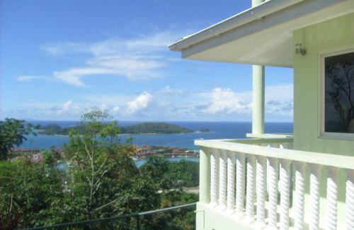 Zig Zag Ward House | Eden Panoramic